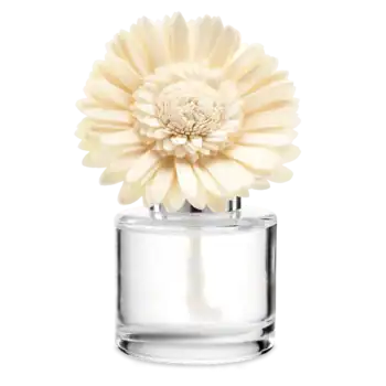 fragrance flower daisy scentsy