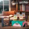x FW HarryPotter HarryPotterAndTheSorcerersStone Warmer HoneydukesWaxCollection R
