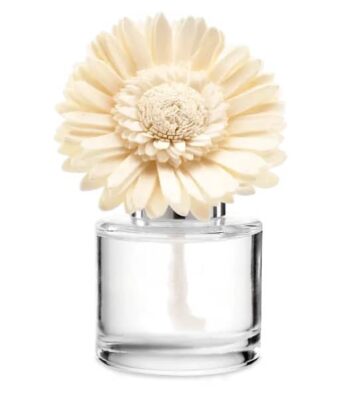 daisy fragrance flower