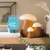 July Scent and Warmer of the Month Stylized