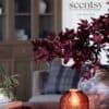 scentsy new catalog fall