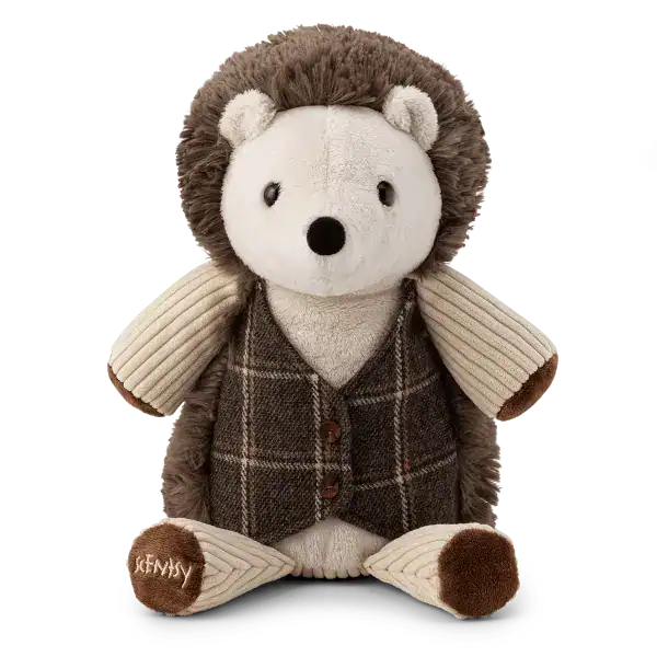 KIDSBuddyHerbertTheHedgehogISOFrontRA PWS