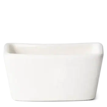 Scentsy WarmerAngelRA