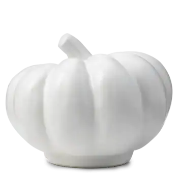 Scentsy WarmerColorMePumpkin