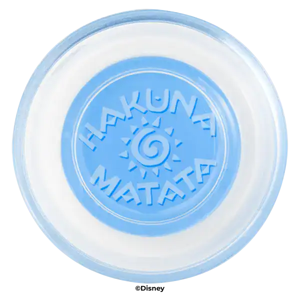 Scentsy WarmerTheLionKingDetail