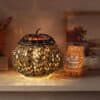 October Scent and Warmer of the Month Stylized