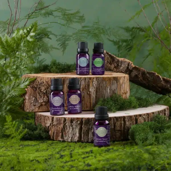 FallWinter Scentsy Natural Oil Blends Stylized