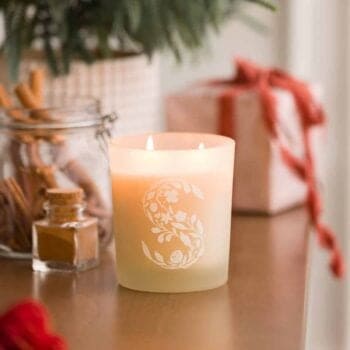 Peppermint Swirl Scentsy Warmer