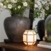 SCENTSY INSPIRE CLARA WARMER GLOW