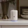 scentsy solo styled