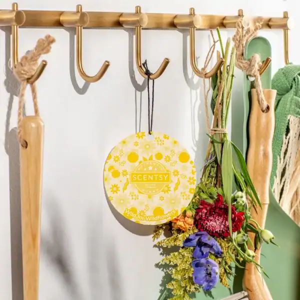 scentsy scent circles category