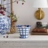 Bluebell warmer new for catalog 2026