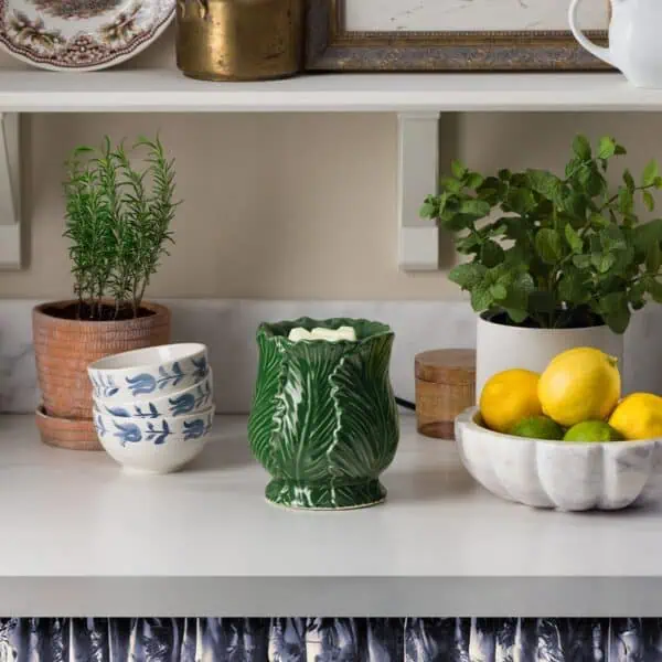 Etched Sage Warmer - Stylized