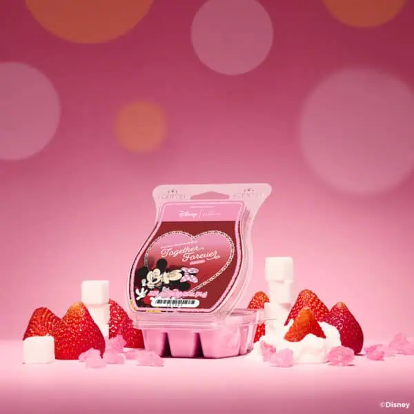 scentsy Disney Love Stories Mickey and Minnie Scentsy Bar