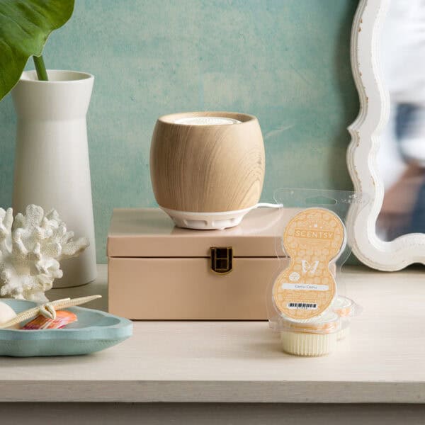 Scentsy Air – Beach Wood - Stylized