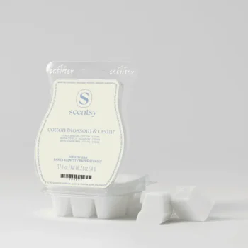 Scentsy Bar CottonBlossomCedarR Classic