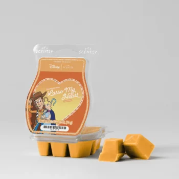 Scentsy Bar DisneyLoveStoriesLassoMyHeart