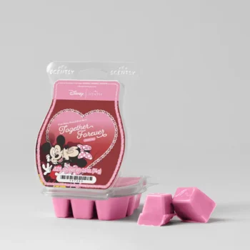 Scentsy Bar DisneyLoveStoriesTogetherForever