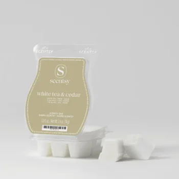 Scentsy Bar WhiteTeaCedar