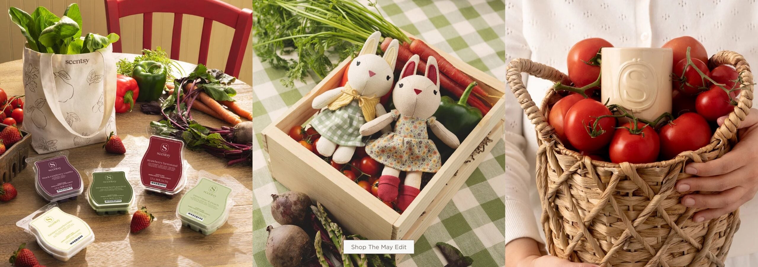 May Edit Scentsy monthly specials
