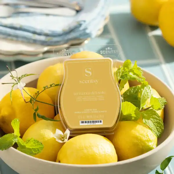 terrazza del sole scentsy bar styled