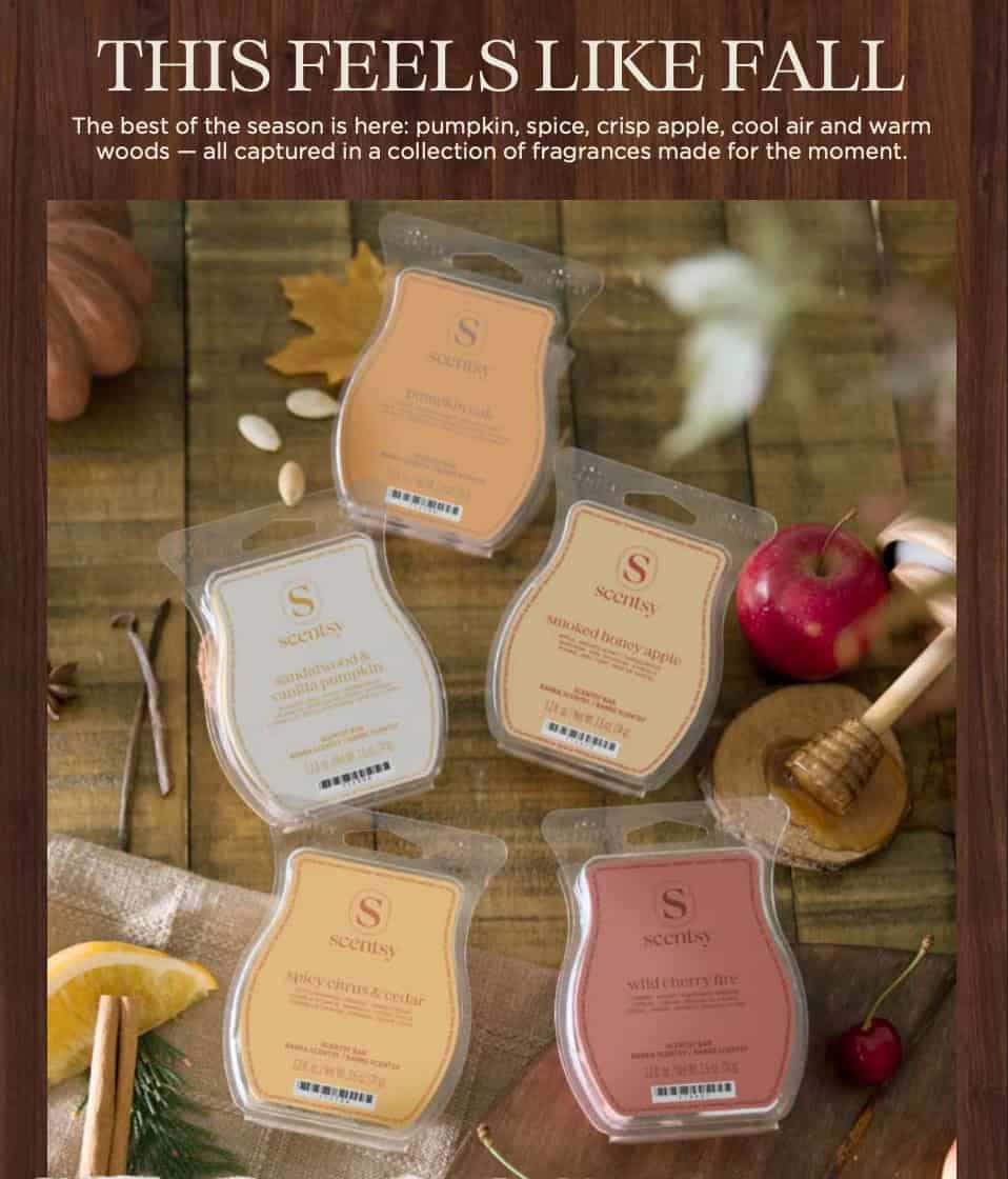 harvest scentsy wax bars
