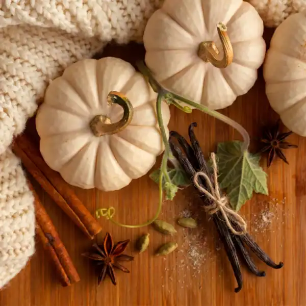vanilla pumpkin sandalwood