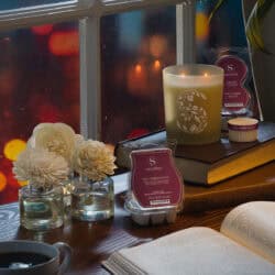 Scentsy LateNightNovel Collection R