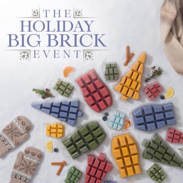 x HolidayBigBrickEvent EN